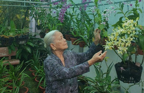 Cuộc thi "Tết xanh": Những sắc màu Tết của tôi