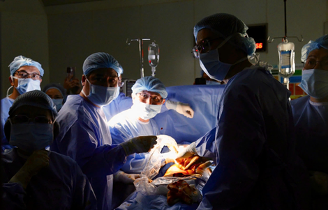 Nhịp đập trở lại, hy vọng nở hoa