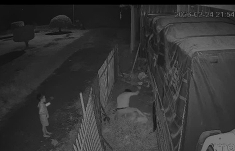 Đồng Tháp: Chồng đâm vợ bất chấp con nhỏ cầu xin "cha đừng xử lý mẹ"