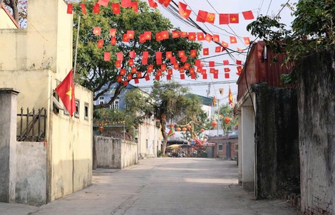 Cuộc thi “Tết xanh”: Chắt chiu màu xanh trong hồn lễ hội