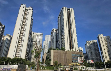 Từ 1-3-2026 chính thức cấp mã định danh điện tử bất động sản và người môi giới bất động sản