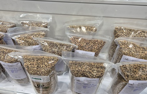 Giá cà phê hôm nay 27-2: Đi lùi, thị trường sắp cân bằng?