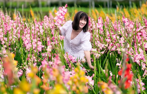 Vườn hoa lay-ơn nở muộn bất ngờ trở nên rất hot ở Đà Lạt