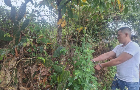 Thanh niên đi xe SH khống chế người phụ nữ, cướp vàng giữa đường vắng