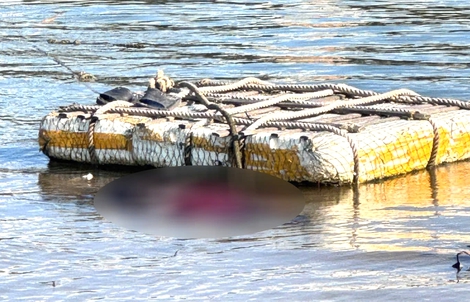 Phát hiện thi thể nghi nữ giới trôi dạt vào cửa biển Nhật Lệ