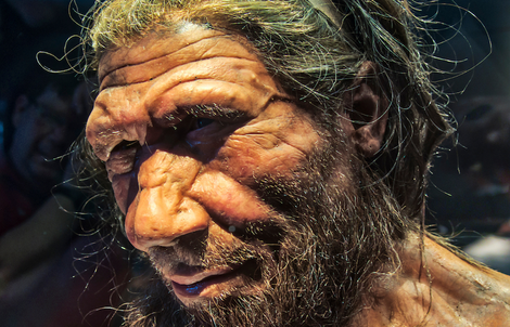 Những phụ nữ lấy chồng khác loài: DNA "ma" ở loài người được giải mã