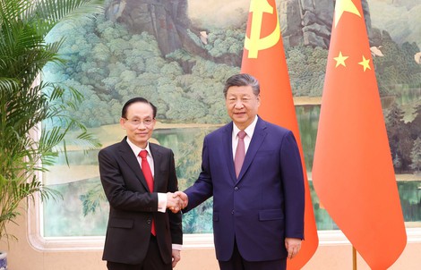 Đặc phái viên của Tổng Bí thư Tô Lâm hội kiến Tổng Bí thư, Chủ tịch Trung Quốc Tập Cận Bình