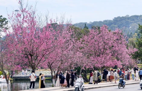 Lâm Đồng quyết tâm tăng trưởng 2 con số trong năm 2026