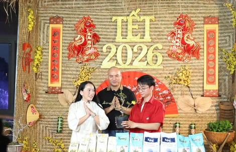 Một địa phương tại TPHCM “lên sóng” bán mai vàng hỗ trợ nông dân