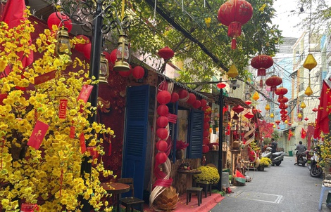 Sắc xuân len lỏi vào từng con hẻm TP HCM