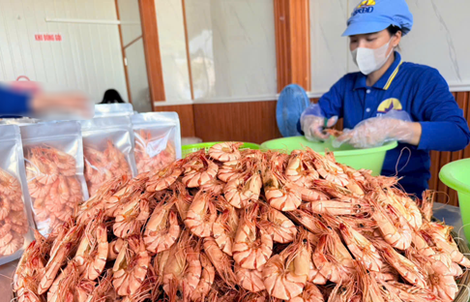 Cà Mau công nhận thêm nhiều sản phẩm OCOP