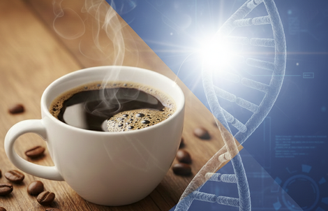 Phát triển phương pháp trị ung thư kết hợp cà phê và CRISPR
