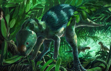 Lộ diện sinh vật lạ chứng minh khoa học "lạc đường"