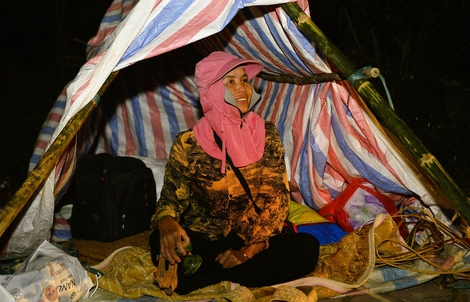 Xuyên đêm trông đào, quất trong giá rét