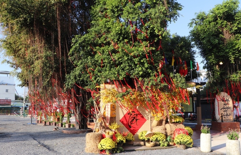 Một phường ở TPHCM làm công viên có sân pickleball, cầu lông