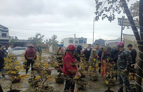 VIDEO: Nhiều người đến mua sau khi hay tin người từ Gia Lai ra Nghệ An bán mai Tết “bị lừa”
