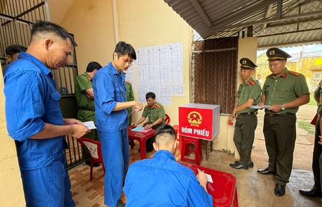 Hơn 500 người đang bị tạm giữ, tạm giam thực hiện quyền bầu cử