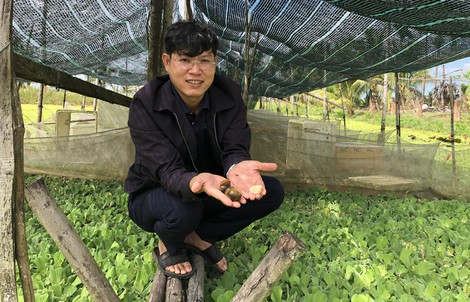 Làm giàu từ nông nghiệp sạch