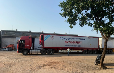 TPHCM: Phạt 56 triệu đồng do đưa xe bị tước phù hiệu cho tài xế chạy