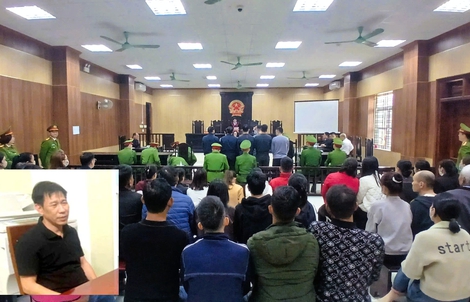 Mạnh "gỗ" lĩnh 10 năm tù, 2 trong 4 cựu cán bộ kiểm lâm lĩnh án treo