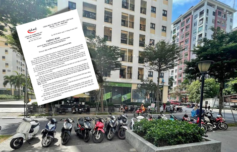 Chung cư ở TPHCM "bán chỗ đậu xe 500 triệu đồng": Chủ đầu tư khẳng định chỗ đó là của mình!