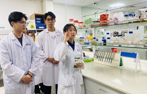 Hơn 240 dự án tranh tài tại cuộc thi khoa học kỹ thuật quốc gia