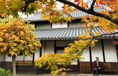 Bình yên Đông Kinh