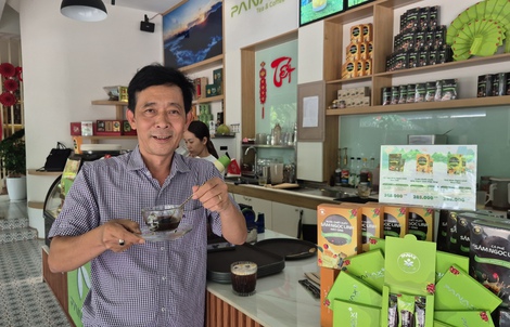 Quốc dân hóa sâm Ngọc Linh từ món cà phê sâm Ngọc Linh