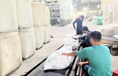 Ổn định thị trường lúa gạo