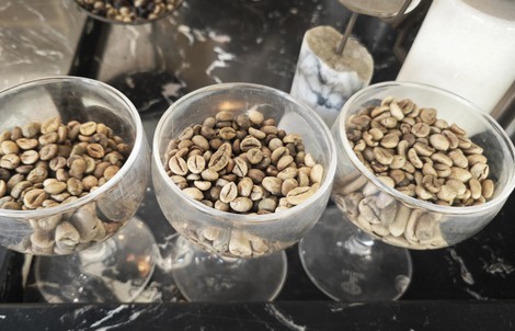 Giá cà phê hôm nay 22-3: Khép lại tuần vui cho nông dân