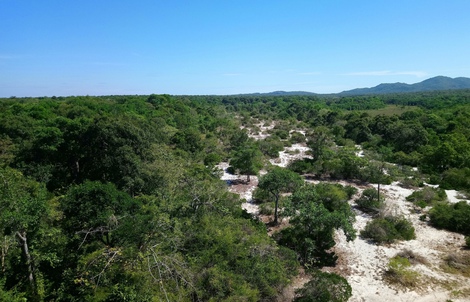 Làm rõ nguyên nhân giảm hơn 17.700 ha rừng tự nhiên ở Lâm Đồng