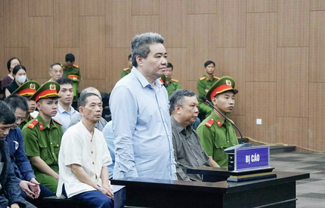 Gây thiệt hại hàng trăm tỉ đồng, Giám đốc xin bán 175 lượng vàng và 1.000m2 đất để khắc phục