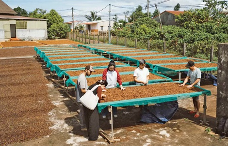 CÚ HÍCH NĂM DU LỊCH QUỐC GIA: Định hình bản sắc du lịch liên vùng