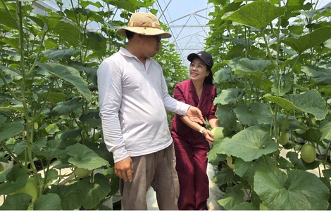 Quỹ hỗ trợ cộng đồng David Dương giúp người dân vươn lên làm giàu