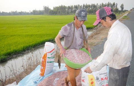Xung đột Trung Đông khiến giá phân bón tăng mạnh, có tác động tới Việt Nam?