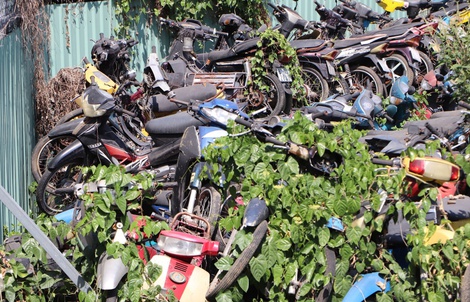 Tìm chủ 13 xe máy "bị bỏ rơi" ở TP HCM