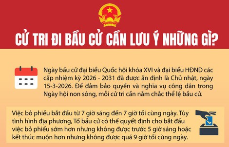 [Infographic] Cử tri đi bầu cử cần lưu ý những gì?