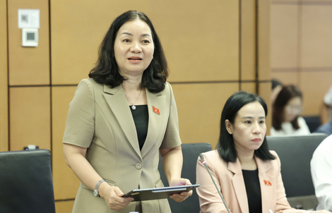Đại biểu nêu bất cập khi dịch vụ công số "khai online vẫn phải nộp bản giấy"