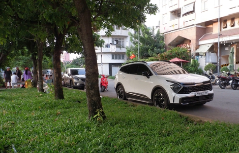 Người đàn ông ở TPHCM bị bạn gái đâm tử vong