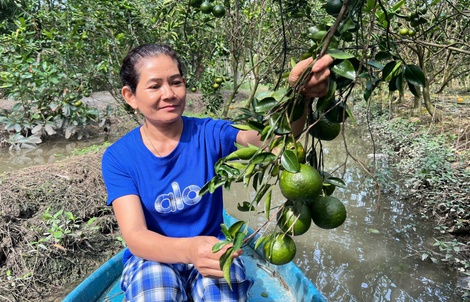 Điểm tựa cho phụ nữ khởi nghiệp