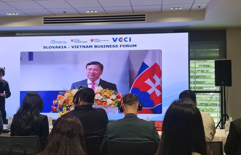 TPHCM mời doanh nghiệp Slovakia đồng hành xây dựng Trung tâm tài chính quốc tế
