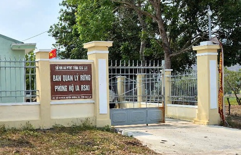 Bắt tạm giam một trưởng ban quản lý rừng phòng hộ