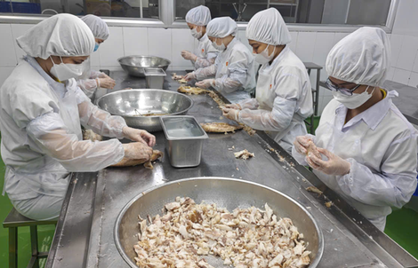 Hỗ trợ vốn cho doanh nghiệp TP HCM