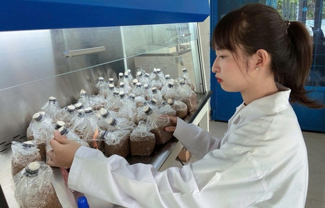 Lan tỏa tinh thần khởi nghiệp