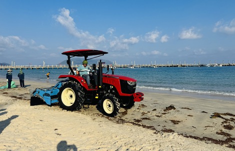 Côn Đảo lần đầu có máy sàng cát vệ sinh bãi biển