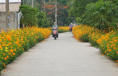 TPHCM: Xã đủ điều kiện khẩn trương hoàn thiện thủ tục lên phường