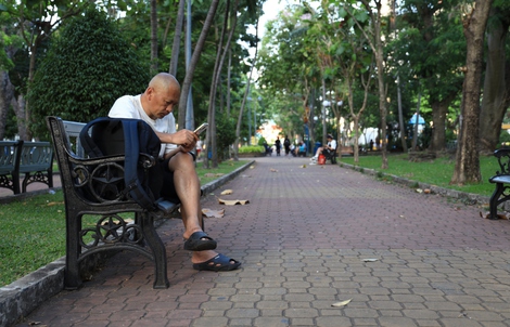 Xanh đô thị, mát tinh thần (*): Sớm phủ xanh thành phố