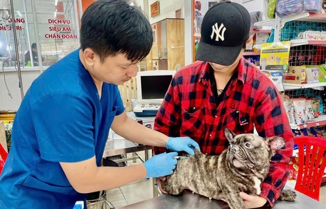 Cảnh báo bệnh dại và thói quen chết người