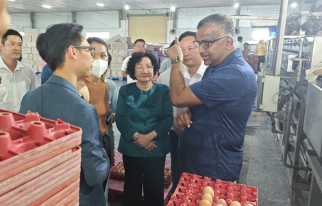 Ba Huân nợ bảo hiểm xã hội kéo dài, rớt khỏi kệ nhiều siêu thị: Tiếc nhưng phải học!