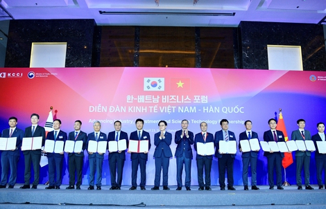 Agribank tham gia Diễn đàn Kinh tế Việt Nam - Hàn Quốc: Thúc đẩy kết nối tài chính